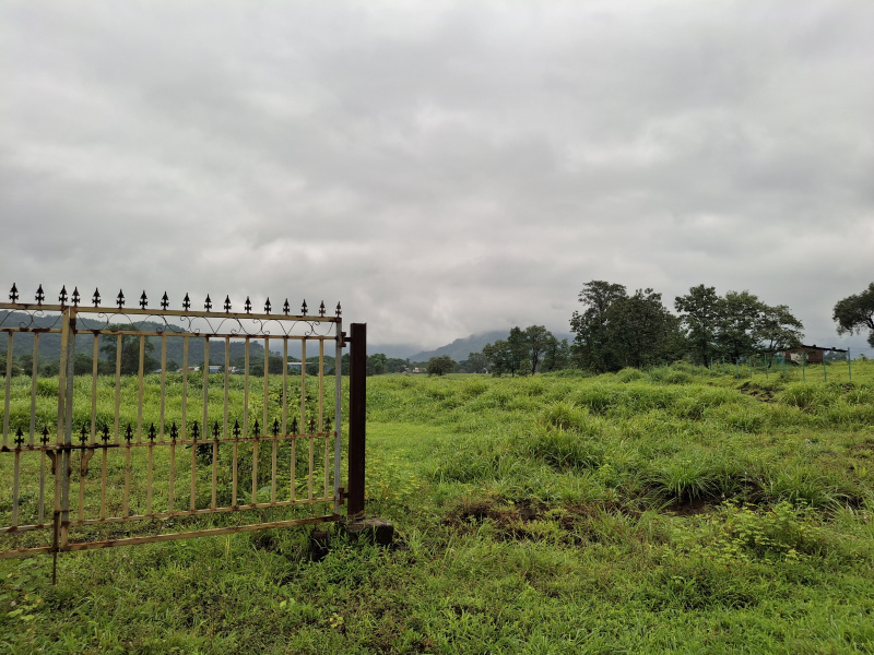 Agricultural Land 94 Guntha for Sale in Karjat, Raigad