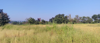  Agricultural Land for Sale in Khalapur, Raigad
