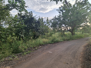 Agricultural Land for Sale in Karjat, Raigad