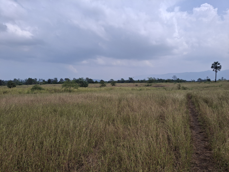  100 Guntha Agricultural/Farm Land for Sale in Karjat, Raigad