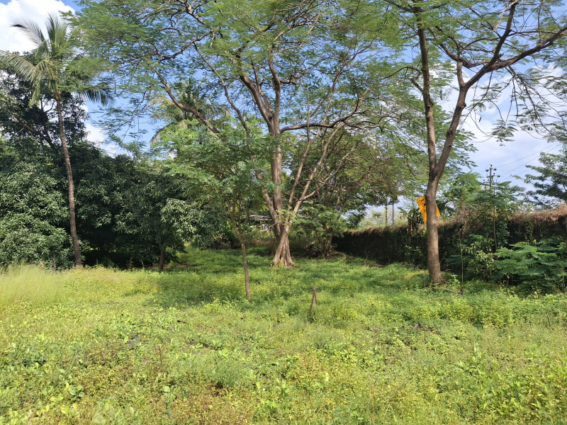  52 Guntha Agricultural/Farm Land for Sale in Morba, Raigad