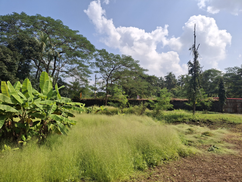  52 Guntha Agricultural/Farm Land for Sale in Morba, Raigad