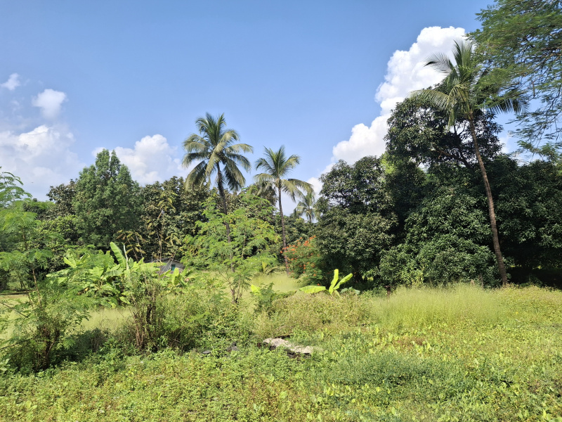  52 Guntha Residential Plot for Sale in Morba, Raigad