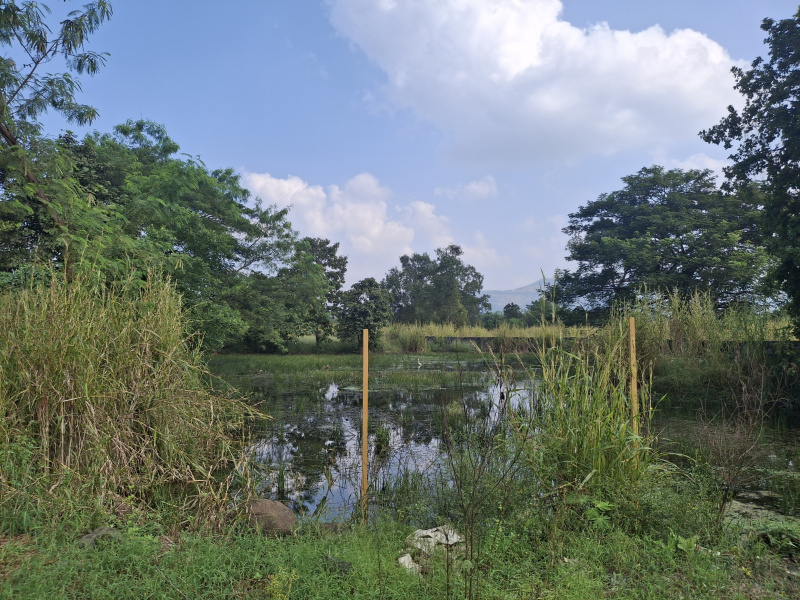  52 Guntha Residential Plot for Sale in Morba, Raigad