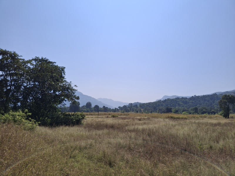  44 Acre Agricultural/Farm Land for Sale in Karjat, Raigad