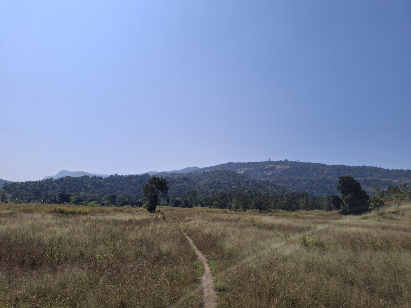  44 Acre Agricultural/Farm Land for Sale in Karjat, Raigad