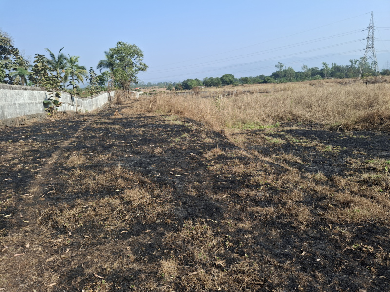  15 Guntha Agricultural/Farm Land for Sale in Karjat, Raigad