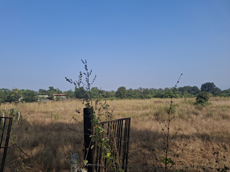  120 Guntha Agricultural/Farm Land for Sale in Karjat, Raigad