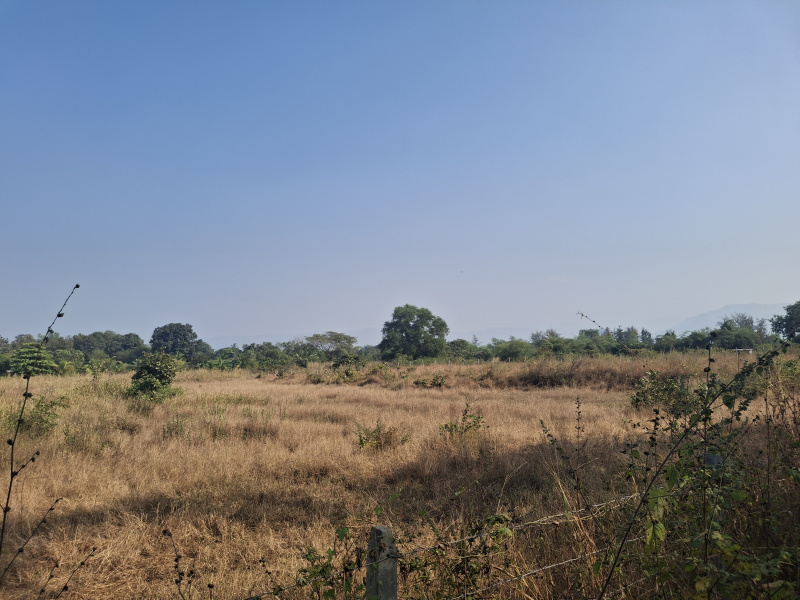 120 Guntha Agricultural/Farm Land for Sale in Karjat, Raigad