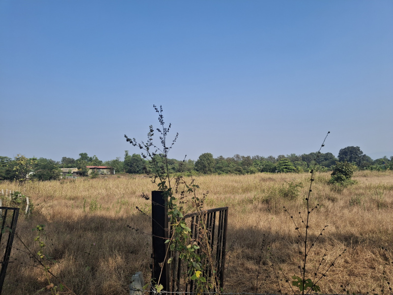  120 Guntha Agricultural/Farm Land for Sale in Karjat, Raigad