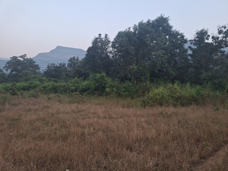  22 Guntha Agricultural/Farm Land for Sale in Karjat, Raigad