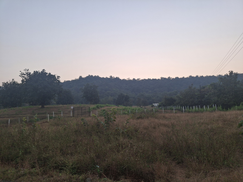  22 Guntha Agricultural/Farm Land for Sale in Karjat, Raigad