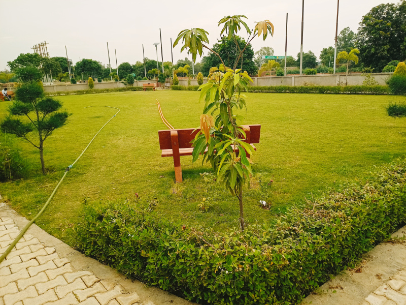  Residential Plot 72 Sq. Meter for Sale in Mangupura, Moradabad