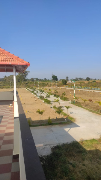 1200 Sq.ft. Commercial Land for Sale in Piriyapatna, Mysore