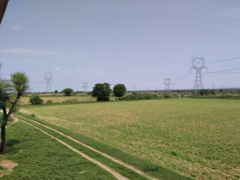  Residential Plot 3 Bigha for Sale in Phagi, Jaipur