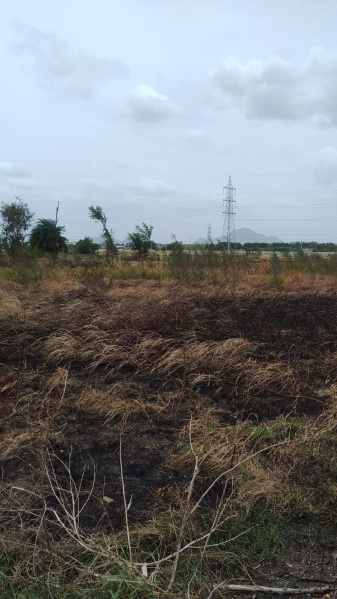  Agricultural Land 1 Acre for Sale in Narasaraopet, Guntur