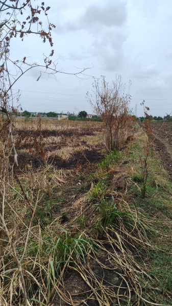 Agricultural Land 1 Acre for Sale in Narasaraopet, Guntur