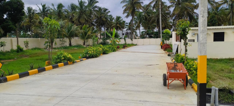  Residential Plot 1200 Sq.ft. for Sale in Anekal, Bangalore