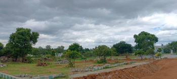  Residential Plot for Sale in Denkanikottai Road, Hosur