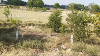  Residential Plot for Sale in Babatpur, Varanasi