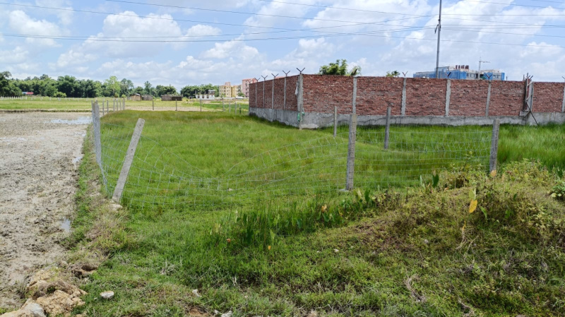  Residential Plot 4629 Sq.ft. for Sale in Lidotown, Tinsukia