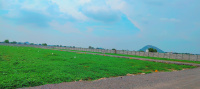  Residential Plot for Sale in Tadikonda, Guntur