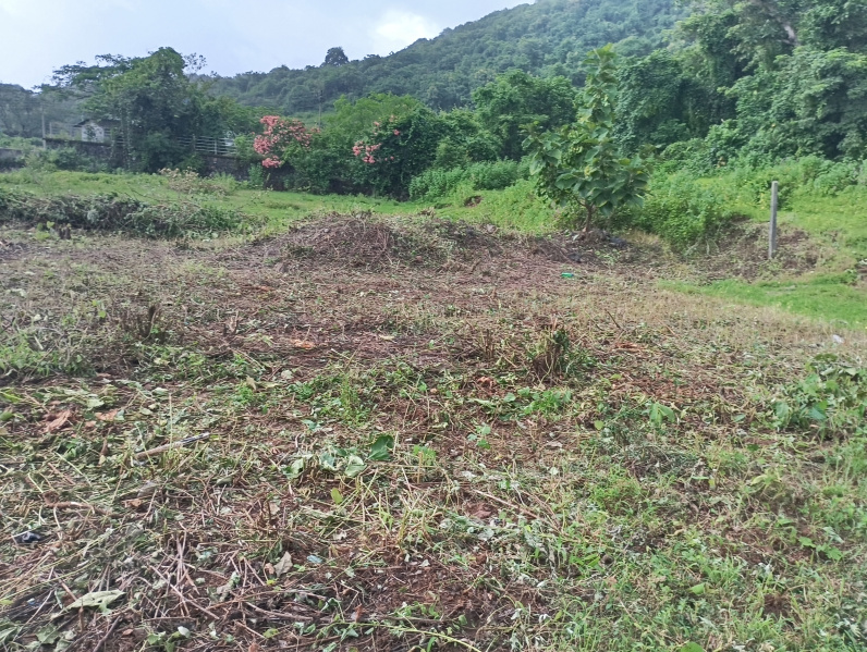  5000 Sq.ft. Residential Plot for Sale in Alibag, Raigad
