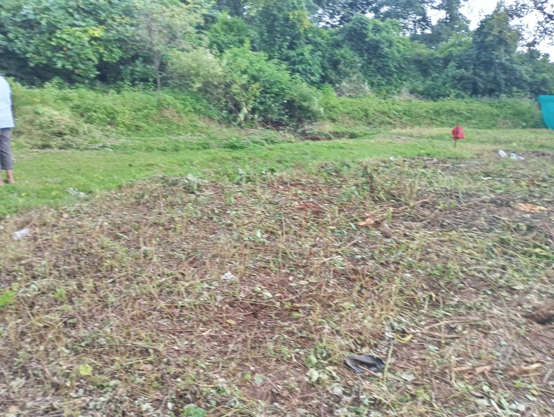  Residential Plot 3 Guntha for Sale in Murud, Raigad