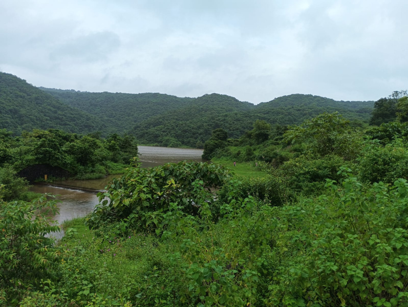  Agricultural Land 4 Acre for Sale in Murud, Raigad
