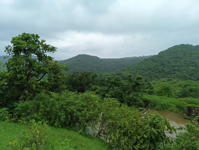 160 Guntha Residential Plot for Sale in Kashid, Raigad