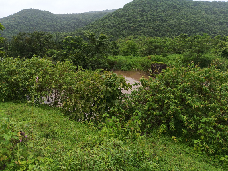  160 Guntha Residential Plot for Sale in Kashid, Raigad