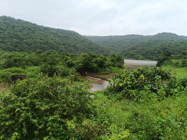  160 Guntha Residential Plot for Sale in Kashid, Raigad