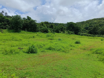  Agricultural Land for Sale in Roha, Raigad