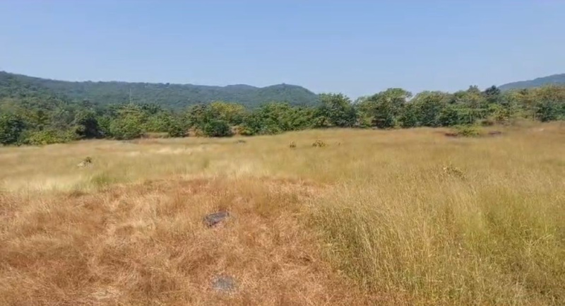  Commercial Land 136 Guntha for Sale in Mhasla, Raigad