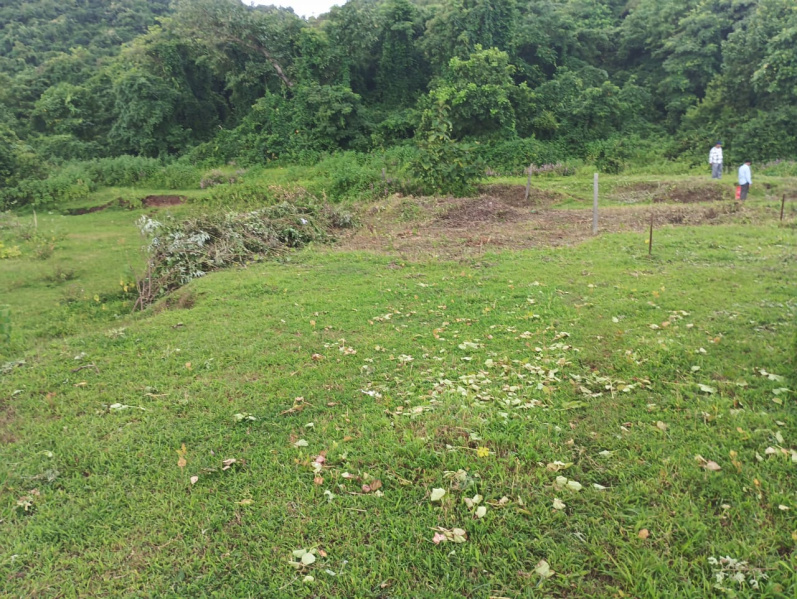  2500 Sq.ft. Residential Plot for Sale in Murud, Raigad