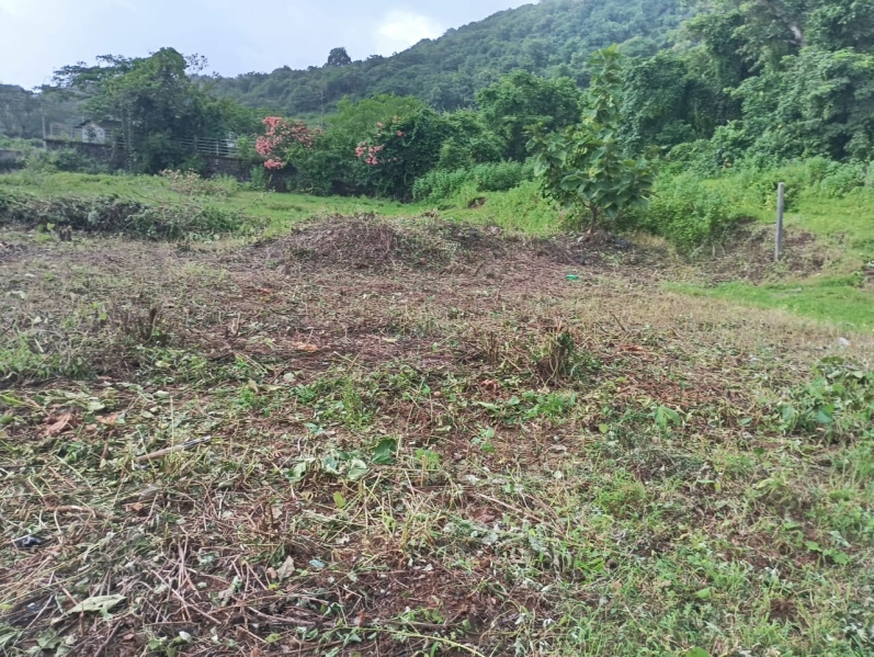  2500 Sq.ft. Residential Plot for Sale in Murud, Raigad