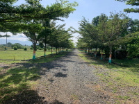  Commercial Land for Sale in Tanikella, Khammam