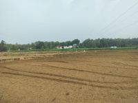  Residential Plot for Sale in Dharmawala, Vikas Nagar, Dehradun