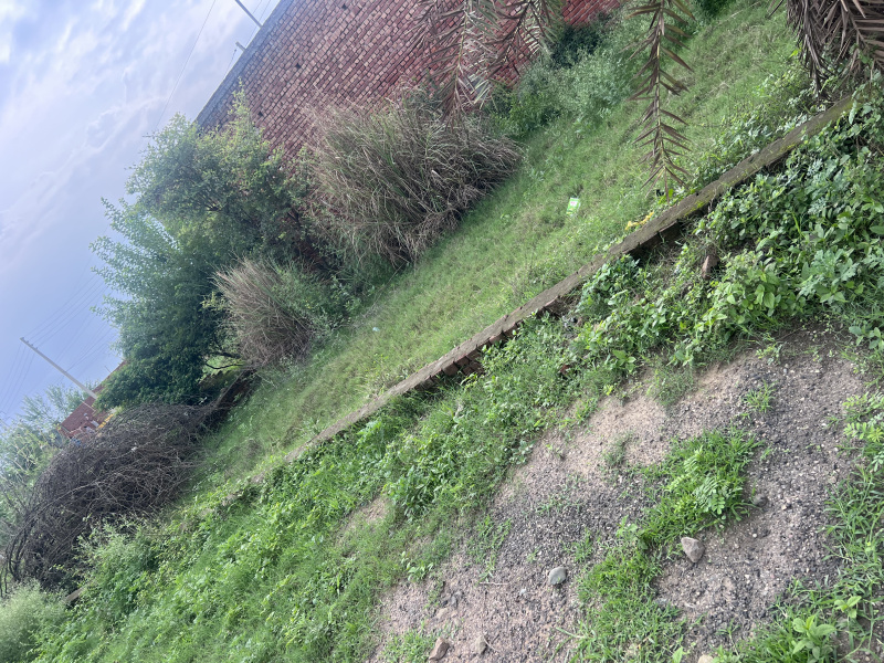  Residential Plot 157 Sq.ft. for Sale in Dappar, Dera Bassi