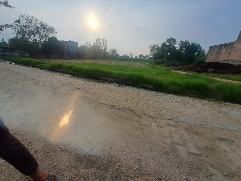  Agricultural Land 20 Bigha for Sale in Garhmukteshwar, Hapur