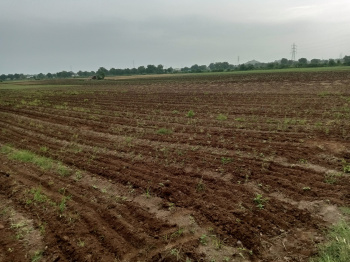  Agricultural Land for Sale in Kasrawad, Khargone