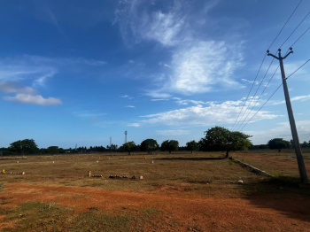  Residential Plot for Sale in Peravurani, Thanjavur