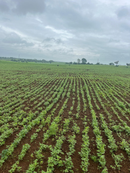  Agricultural Land for Sale in Maheshwar, Khargone