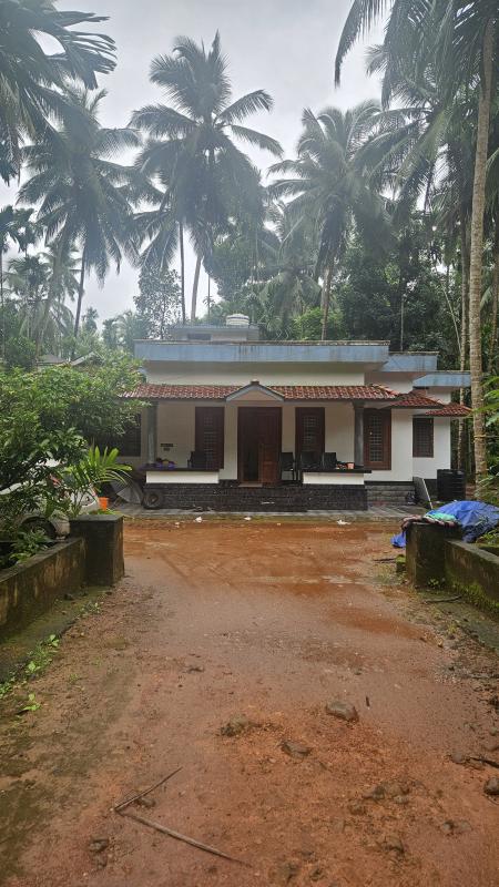 3 BHK Farm House 25 Cent for Sale in Balussery, Kozhikode