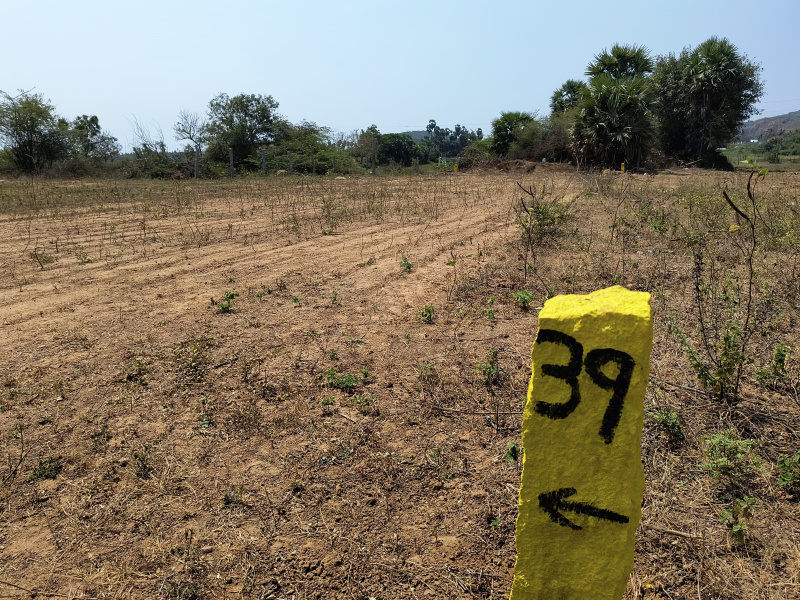  Residential Plot 1000 Sq.ft. for Sale in Kandigai, Chennai