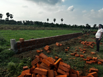  Residential Plot for Sale in Beldari Chak, Patna