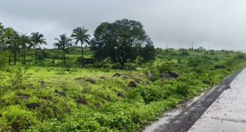  Agricultural Land 6 Acre for Sale in Nivali, Ratnagiri