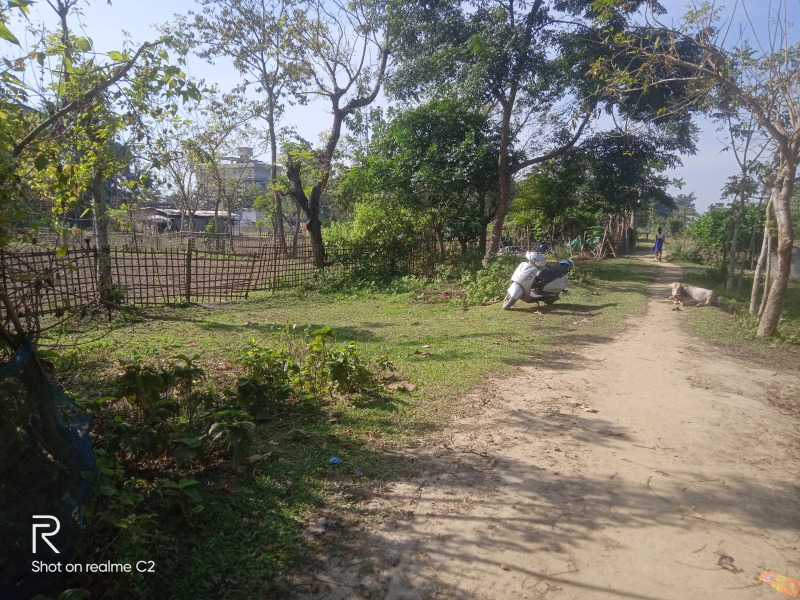  Residential Plot 2 Katha for Sale in Dhing, Nagaon