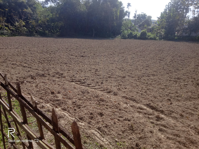 Residential Plot 2 Katha for Sale in Dhing, Nagaon