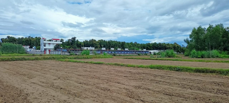  Residential Plot 100 Sq. Yards for Sale in Herbertpur, Dehradun
